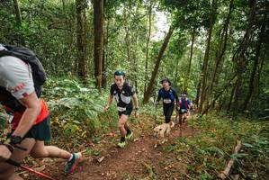 BIB: 
                            <button type="button" onclick="openModal(22467317)" class="btn btn-primary btn-sm float-right btn-popup" data-toggle="modal" data-target=".modal-high-quality">
                        <i class="fas fa-shopping-cart"></i> Add to Cart
                    </button>
                                            <button type="button" onclick="isThisMe(22467317, true)" class="btn btn-success btn-sm float-right btn-popup btn-isme hidden" data-toggle="tooltip" data-placement="bottom" title="นี่คือรูปของคุณใช่ไหม คลิกที่นี่เพื่อเอาเข้าอัลบั้ม">
                        <i class="fas fa-plus"></i> Add to album
                    </button>
                    <button type="button" onclick="isThisMe(22467317, false)" class="btn btn-warning btn-sm float-right btn-popup btn-isnotme hidden">
                        <i class="fas fa-ban"></i> Remove from album
                    </button>